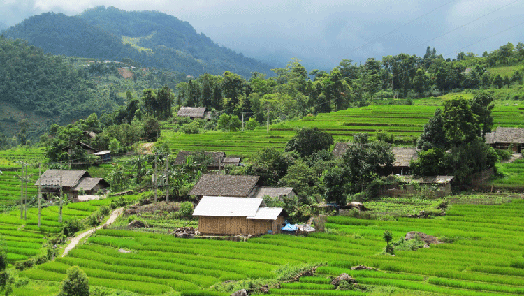 One-Day Sapa Hiking Tour to Y Linh Ho Mong, Lao Chai San & Ta Van